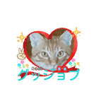そらくんのスタンプ♡⃝（個別スタンプ：16）