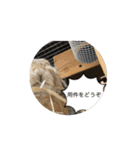 うさぎと暮らす生活（個別スタンプ：16）