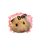 キンクマボンボン（個別スタンプ：5）