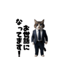 【敬語】スーツを着た猫たち（個別スタンプ：1）