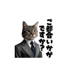 【敬語】スーツを着た猫たち（個別スタンプ：3）