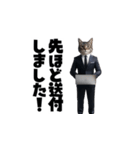 【敬語】スーツを着た猫たち（個別スタンプ：6）