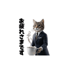 【敬語】スーツを着た猫たち（個別スタンプ：12）