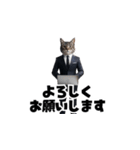 【敬語】スーツを着た猫たち（個別スタンプ：14）