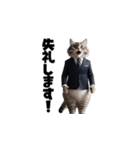 【敬語】スーツを着た猫たち（個別スタンプ：15）