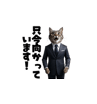 【敬語】スーツを着た猫たち（個別スタンプ：16）