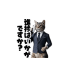 【敬語】スーツを着た猫たち（個別スタンプ：20）