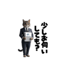 【敬語】スーツを着た猫たち（個別スタンプ：24）