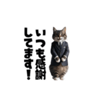 【敬語】スーツを着た猫たち（個別スタンプ：29）