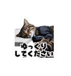 【敬語】スーツを着た猫たち（個別スタンプ：32）