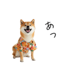 仕事で使える柴犬スタンプ（個別スタンプ：34）
