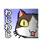 やえやまいえねこ（個別スタンプ：3）