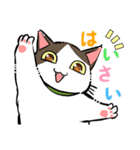 やえやまいえねこ（個別スタンプ：4）