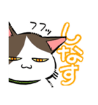 やえやまいえねこ（個別スタンプ：9）