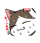 やえやまいえねこ（個別スタンプ：11）