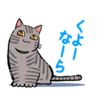 やえやまいえねこ（個別スタンプ：12）