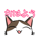 やえやまいえねこ（個別スタンプ：25）