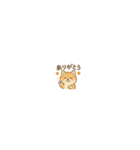 まいにち柴犬くん（個別スタンプ：6）