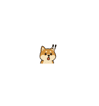 まいにち柴犬くん（個別スタンプ：14）