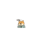 まいにち柴犬くん（個別スタンプ：33）