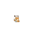 まいにち柴犬くん（個別スタンプ：34）