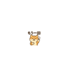 まいにち柴犬くん（個別スタンプ：38）