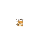 まいにち柴犬くん2（個別スタンプ：10）