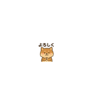 まいにち柴犬くん2（個別スタンプ：19）