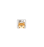 まいにち柴犬くん2（個別スタンプ：24）