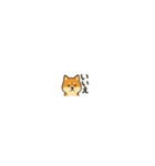 まいにち柴犬くん2（個別スタンプ：25）