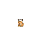 まいにち柴犬くん2（個別スタンプ：31）