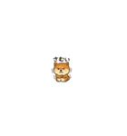 まいにち柴犬くん2（個別スタンプ：33）