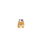 まいにち柴犬くん2（個別スタンプ：36）