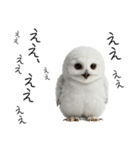 あると助かるメンフクロウのヒナスタンプ（個別スタンプ：3）
