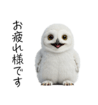 あると助かるメンフクロウのヒナスタンプ（個別スタンプ：4）