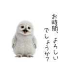 あると助かるメンフクロウのヒナスタンプ（個別スタンプ：17）