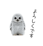 あると助かるメンフクロウのヒナスタンプ（個別スタンプ：22）