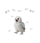 あると助かるメンフクロウのヒナスタンプ（個別スタンプ：25）