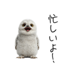 あると助かるメンフクロウのヒナスタンプ（個別スタンプ：30）