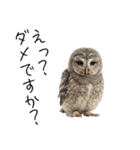 あると助かるメンフクロウのヒナスタンプ（個別スタンプ：32）