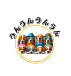 おしゃれワンコの挨拶スタンプ（個別スタンプ：36）