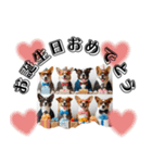 おしゃれワンコの挨拶スタンプ（個別スタンプ：39）