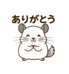 チンチラのもふふ（個別スタンプ：1）