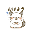 チンチラのもふふ（個別スタンプ：4）
