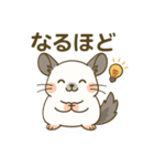 チンチラのもふふ（個別スタンプ：11）