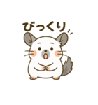 チンチラのもふふ（個別スタンプ：13）