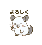 チンチラのもふふ（個別スタンプ：15）