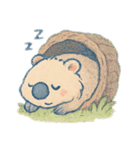 ウォンバット•タオカ 3（個別スタンプ：5）