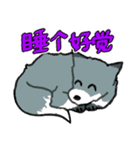 キツネ達の毎日使えるスタンプ（中国語）（個別スタンプ：6）
