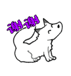 キツネ達の毎日使えるスタンプ（中国語）（個別スタンプ：8）
